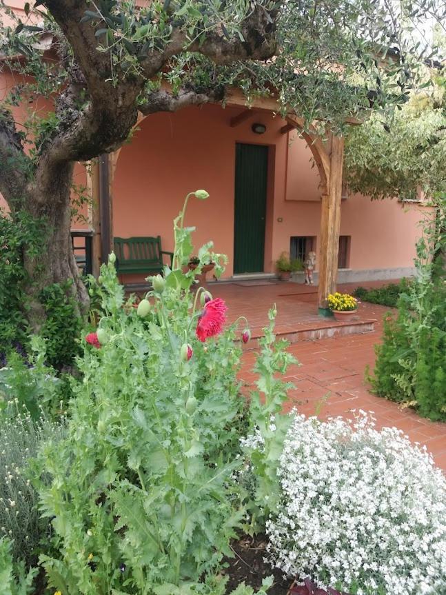 Villa Giuliana فيغونزا المظهر الخارجي الصورة